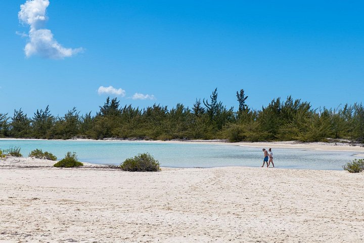 Ochtendcruise van een halve dag vanuit Providenciales met snorkelen en Iguana Island