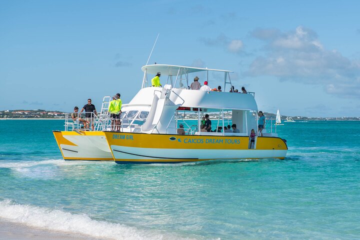 Ochtendcruise van een halve dag vanuit Providenciales met snorkelen en Iguana Island