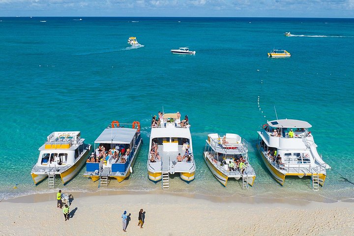 Ochtendcruise van een halve dag vanuit Providenciales met snorkelen en Iguana Island
