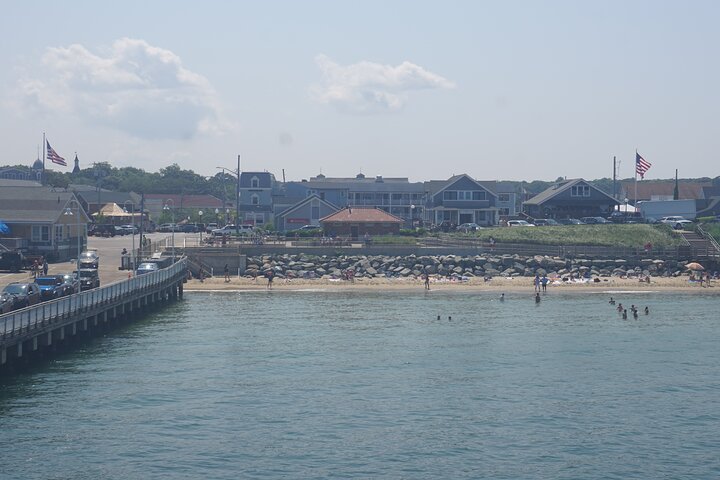 Gita di un giorno a Martha's Vineyard con tour dell'isola facoltativo da Boston