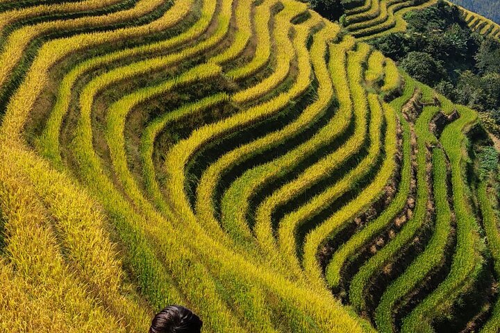 6-daagse Guilin-tour naar Yangshuo, Longji en Guilin