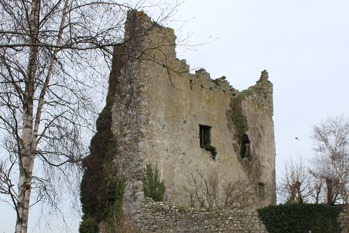 Recorrido guiado en bicicleta eléctrica por Killaloe y la costa de Lough Derg