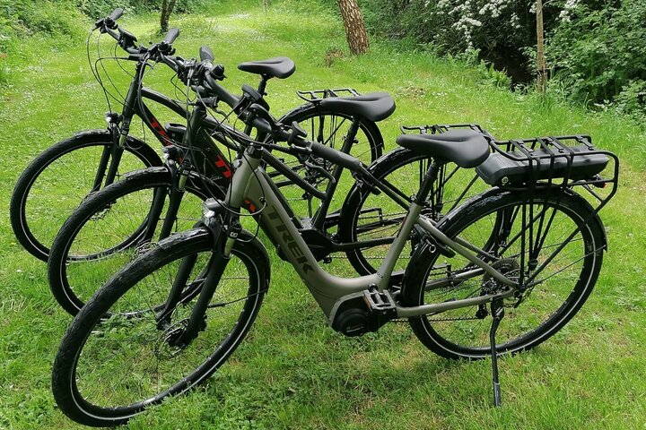 Recorrido guiado en bicicleta eléctrica por Killaloe y la costa de Lough Derg