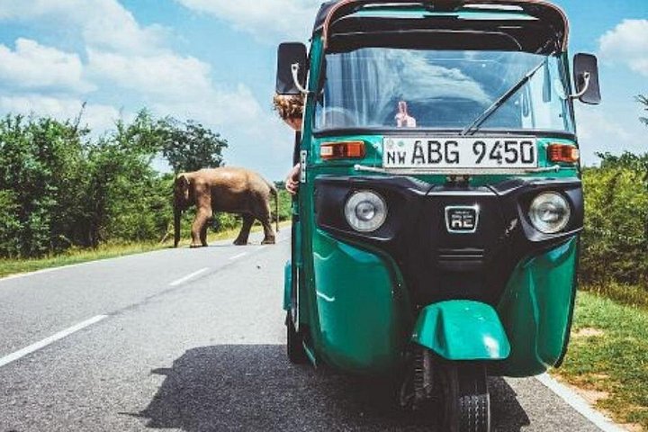 Excursion privée d'une journée à Sigiriya et Dambulla en Tuk-Tuk ou en voiture