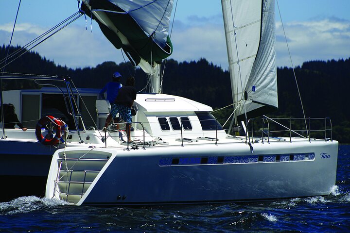Vela de lujo - Tallados rupestres maoríes - Taupo Sailing Adventures