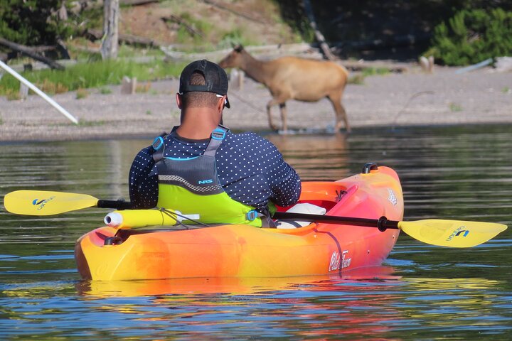 4 - Hora de Kayak no Lago Yellowstone com almoço