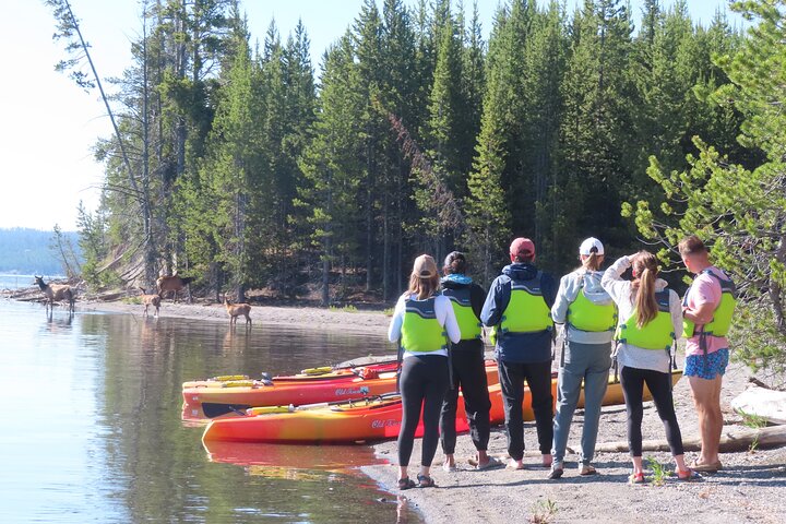4 - Hora de Kayak no Lago Yellowstone com almoço