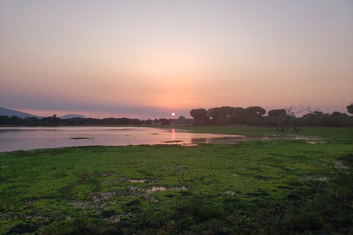 1 Nacht Exklusives rustikales Luxus Safari Camp Nyerere Nationalpark