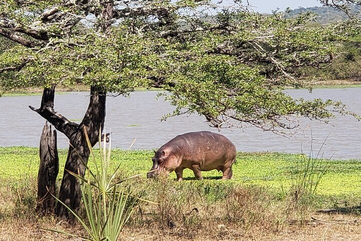 1 Nacht Exklusives rustikales Luxus Safari Camp Nyerere Nationalpark