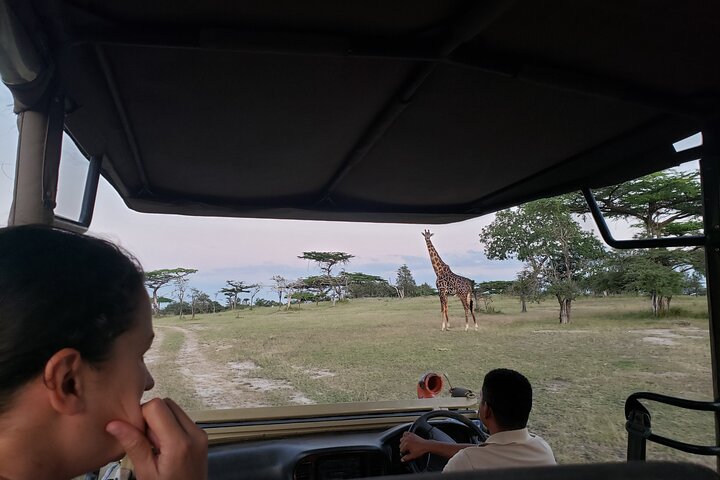 1 Nacht Exklusives rustikales Luxus Safari Camp Nyerere Nationalpark