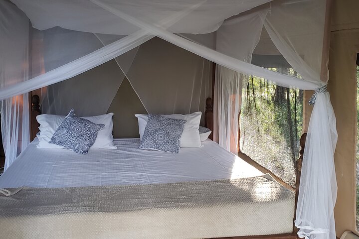 1 Nacht Exklusives rustikales Luxus Safari Camp Nyerere Nationalpark