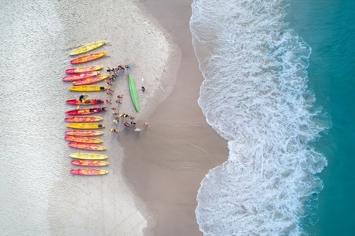 Kayak avec dauphins à Byron Bay Visite guidée