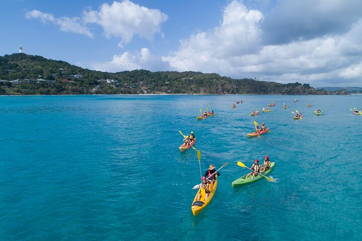 Kayak avec dauphins à Byron Bay Visite guidée