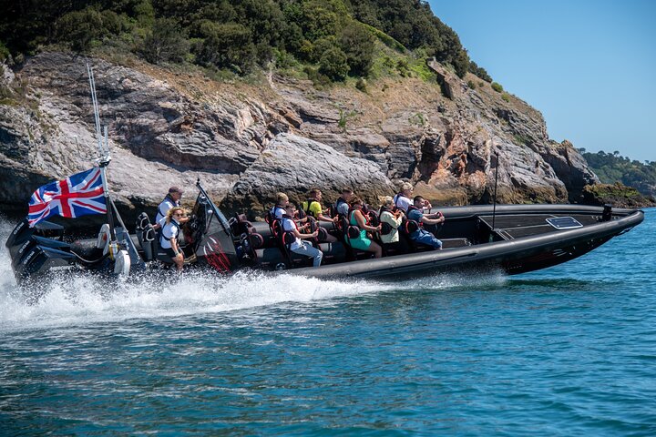 Attività di giro in gommone Raptor da 30 minuti a Torquay