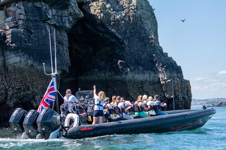 Attività di giro in gommone Raptor da 30 minuti a Torquay