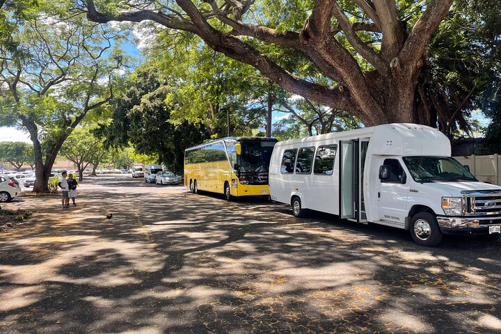 Oahu : Hin- und Rücktransfer von Waikiki nach Dole Plantage & Haleiwa