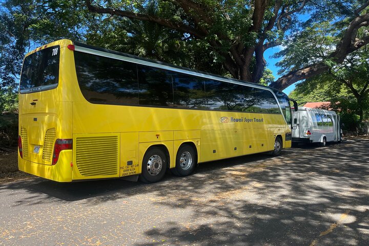 Oahu : Hin- und Rücktransfer von Waikiki nach Dole Plantage & Haleiwa