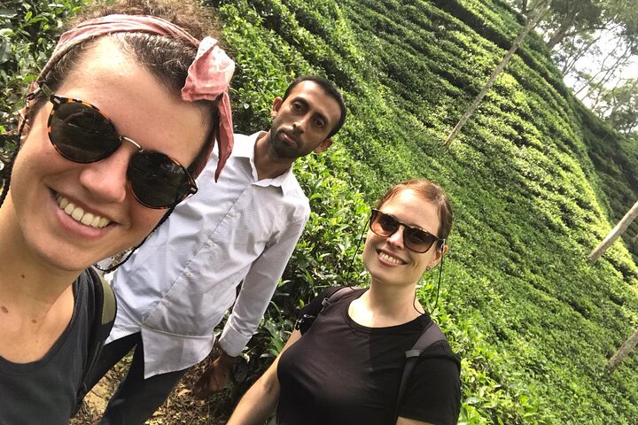 Recorrido por la naturaleza de Srimangal en el bosque y el jardín de té.