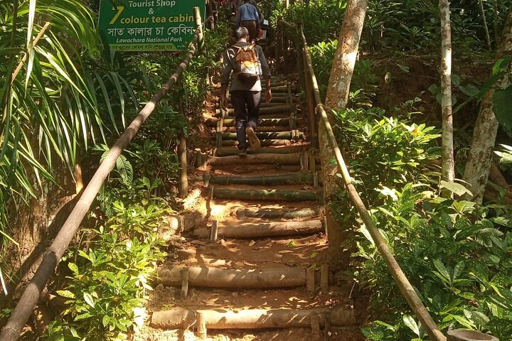 Recorrido por la naturaleza de Srimangal en el bosque y el jardín de té.