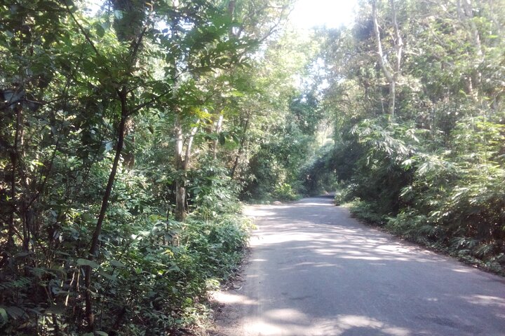 Recorrido por la naturaleza de Srimangal en el bosque y el jardín de té.