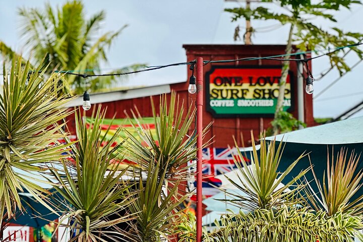Oahu : Hin- und Rücktransfer von Waikiki nach Dole Plantage & Haleiwa