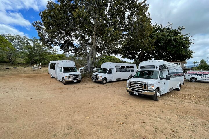 Oahu : Hin- und Rücktransfer von Waikiki nach Dole Plantage & Haleiwa
