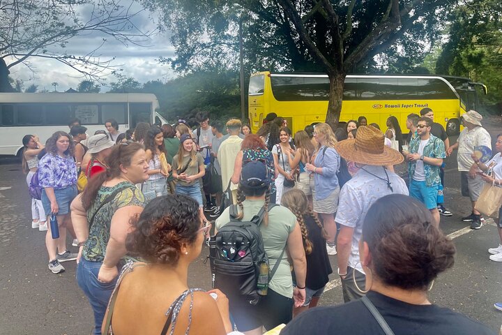 Oahu : Hin- und Rücktransfer von Waikiki nach Dole Plantage & Haleiwa
