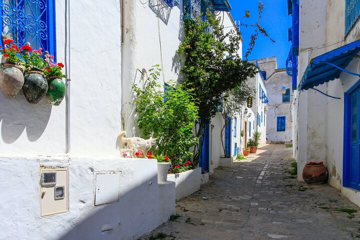Kartago Fornlämningar och Sidi Bou Said Guidad tur med lunch