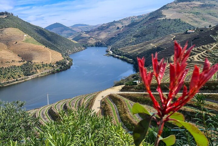 Douro Valley privat tur (vingård + båd + udsigtspunkt)