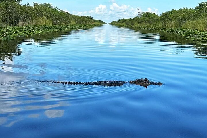 Everglades Small-Group Tour from Miami with Transportation