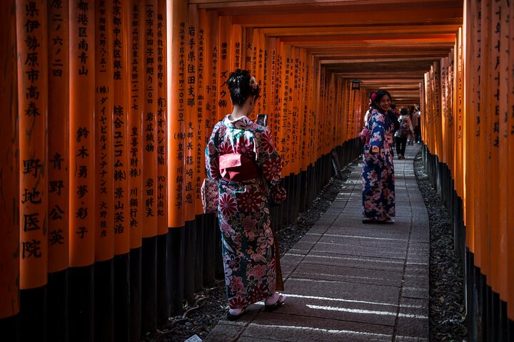 Strandutflykt: Privat heldagstur i Kyoto från hamnarna i Osaka/Kobe