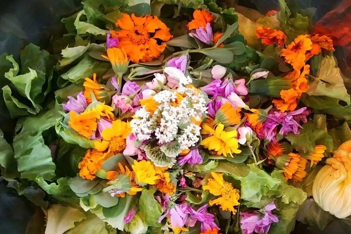 Cena en casa de Kirkaia: jardín de sabores auténticos