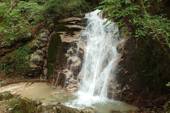 Excursión de 1 día desde Matsumoto: camine por el sendero Nakasendo