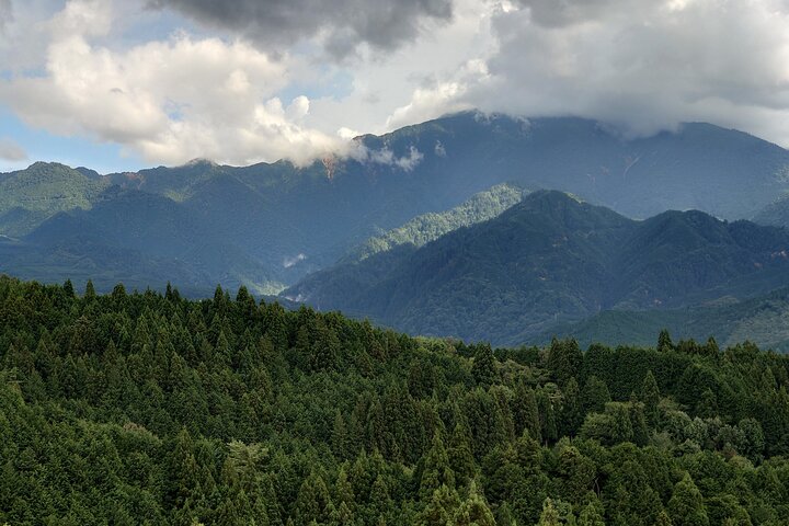 Excursión de 1 día desde Matsumoto: camine por el sendero Nakasendo
