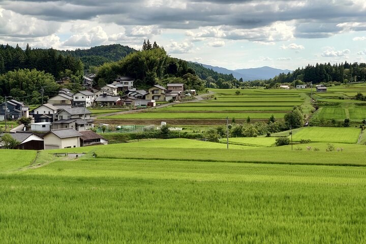 Excursión de 1 día desde Matsumoto: camine por el sendero Nakasendo