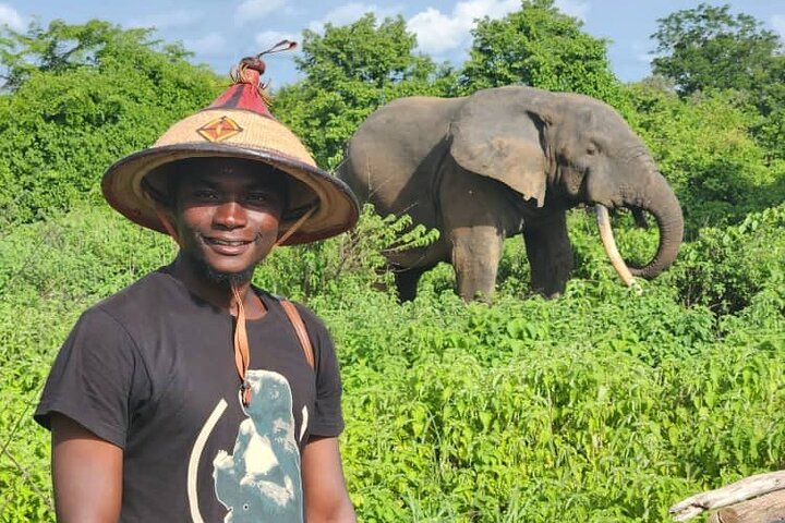 3 Dias Zaina Elephants Safari - Experiência de Lodge Eco de luxo