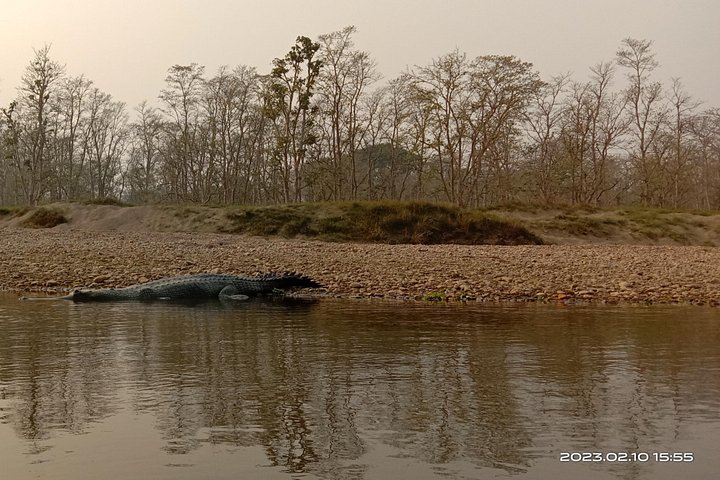 Tagessafari (Teilen) im Chitwan-Nationalpark