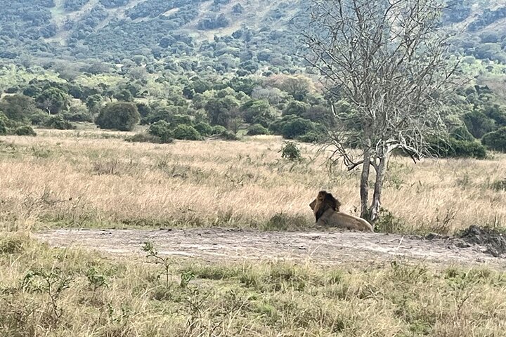 Kigali: Full-Day Akagera Safari + Optional Boat Ride