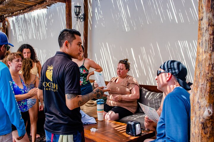 ATV 4×4+Cenote+Snorkeling+Beach Club+ Lunch+Sabores de Cozumel