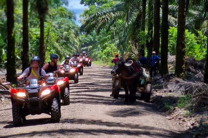 Manuel Antonio: visite en VTT hors route de la forêt tropicale et des cascades