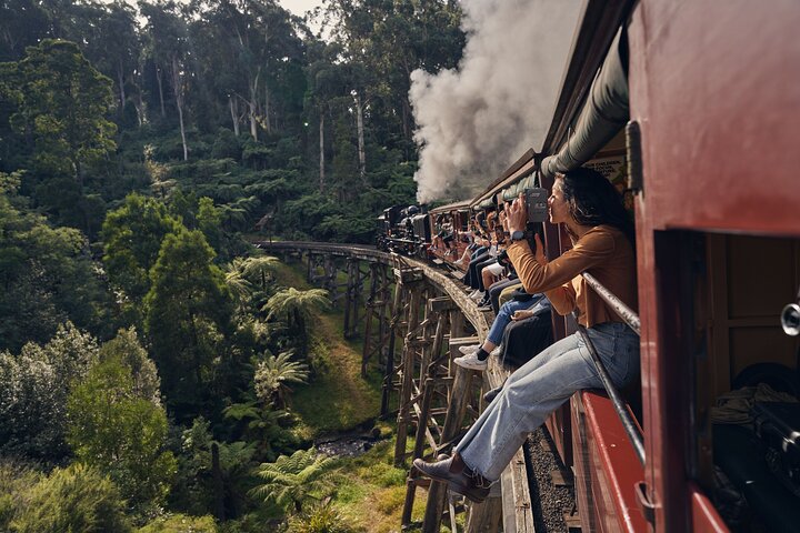 1 dags Puffing Billy Steam Train and Wildlife Tour fra Melbourne