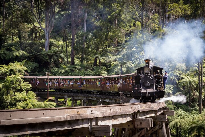 1 dags Puffing Billy Steam Train and Wildlife Tour fra Melbourne