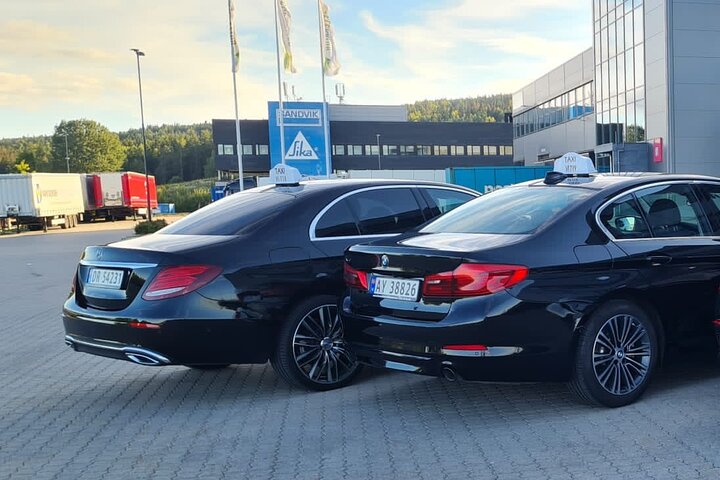 Servizio di trasferimento dall'aeroporto privato/hotel di Oslo || Italiano