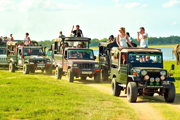 Privat jeep safari i Minneriya National Park for at besøge elefanter