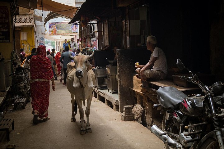 Los 3 días definitivos en Varanasi - Cómo pasar 39 horas - Para principiantes