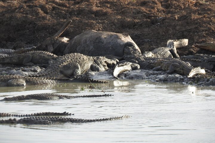 Safari serale - Yala National Park con safari Janaka - dalle 14:00 alle 18:30