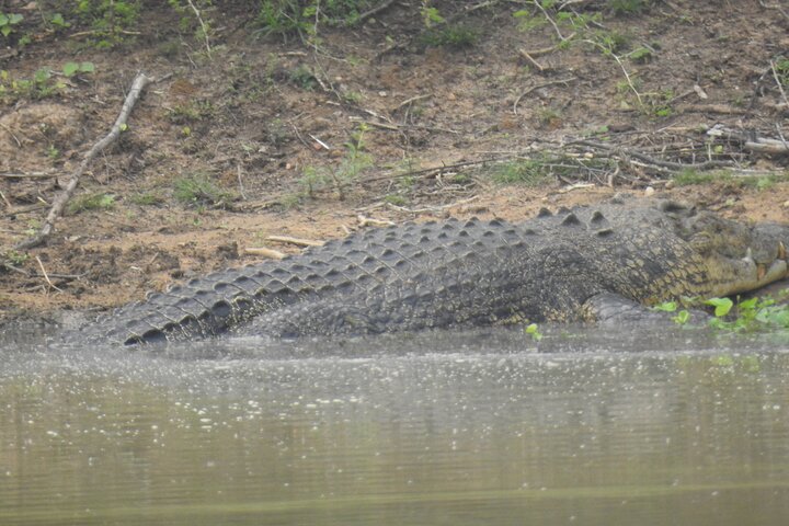 Safari serale - Yala National Park con safari Janaka - dalle 14:00 alle 18:30