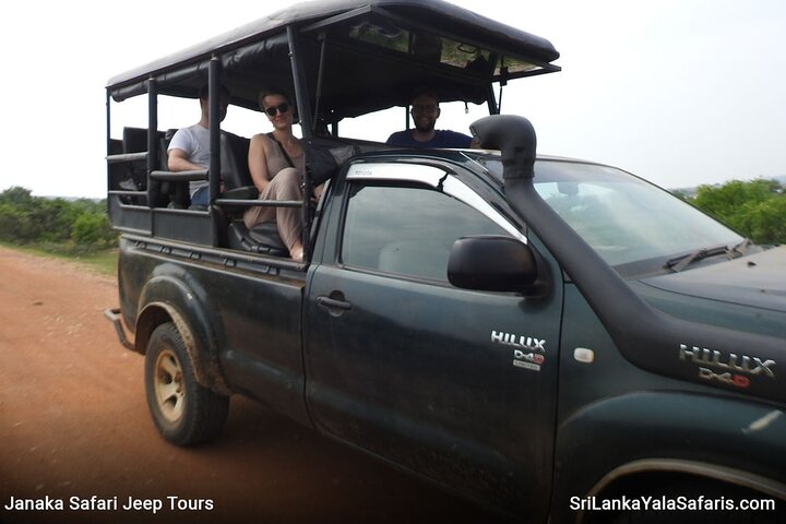 Safari serale - Yala National Park con safari Janaka - dalle 14:00 alle 18:30
