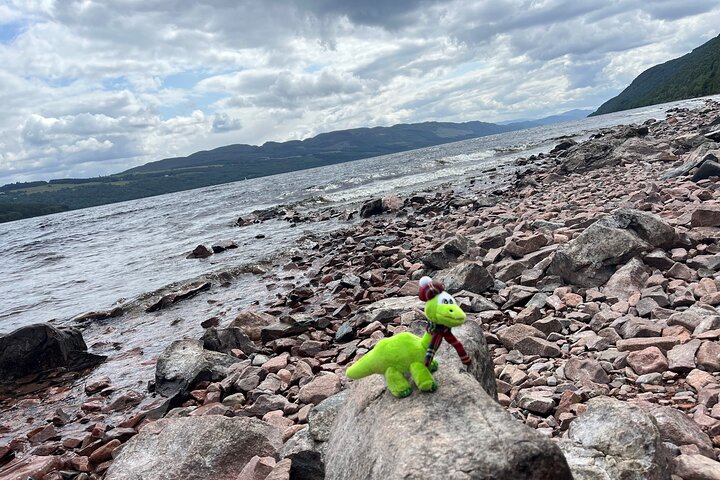 Invergordon o Inverness: tour privato di lusso a Loch Ness