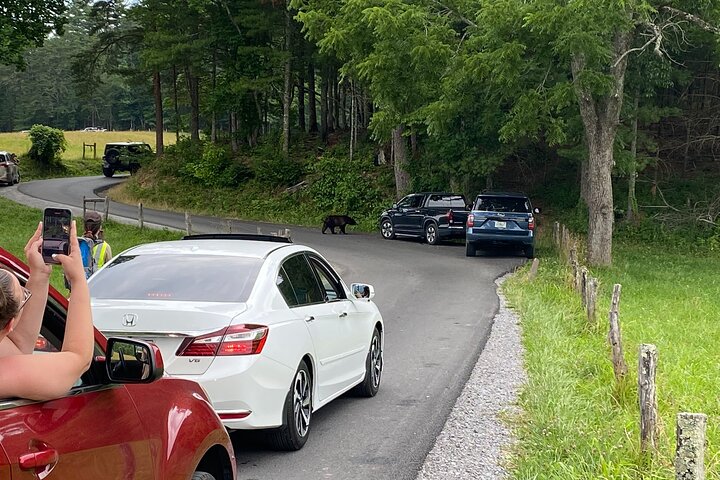 Tour di 5 ore del patrimonio montano di Cades Cove